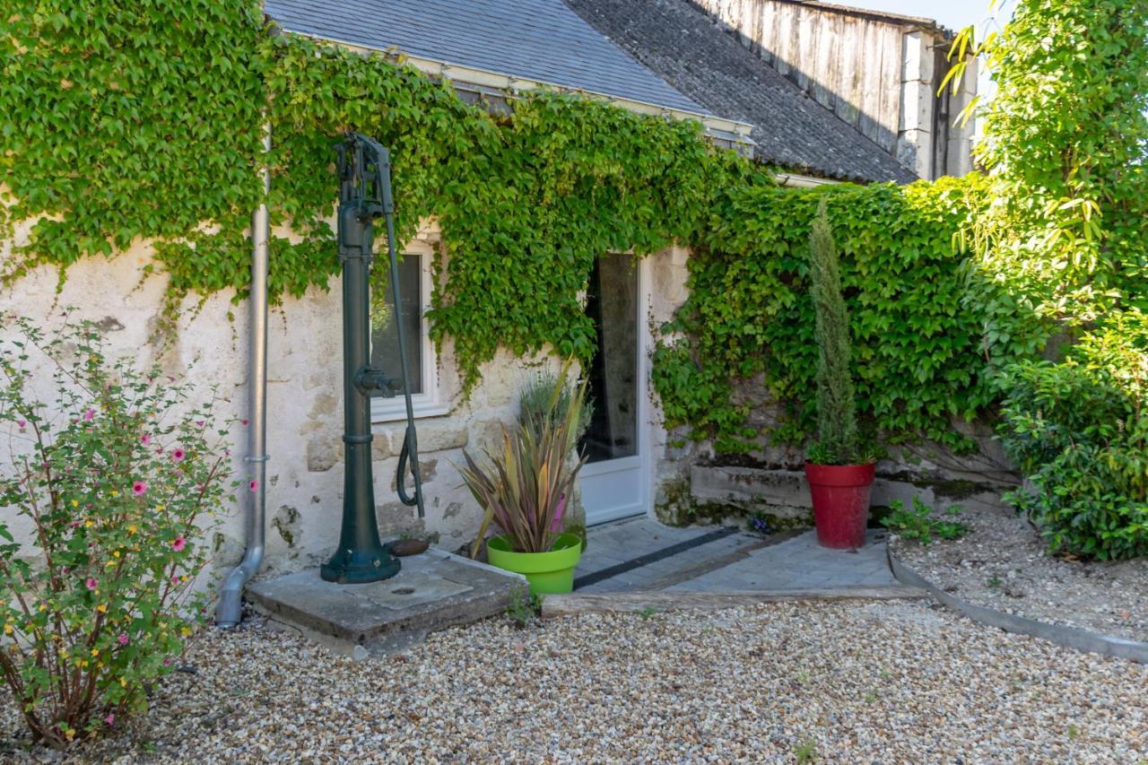 Saumur Loire Chambres Et Gite Vernantes エクステリア 写真