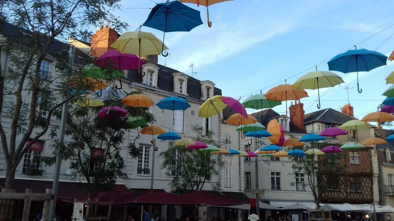 Saumur Loire Chambres Et Gite Vernantes エクステリア 写真