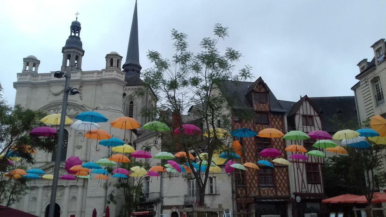 Saumur Loire Chambres Et Gite Vernantes エクステリア 写真